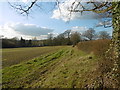 Field next to Hamptons Road in TN11 9RG