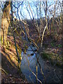 Tributary of Boldings Brook in woodland by bridleway in RH12 4QD