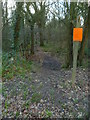 Bridleway enters woodland from Langhurstwood Road in RH12 4QD