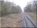 Remains of vegetation clearance, Nene Valley Railway in PE2 6FB