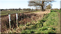Footpath markers beside the bridleway to Briar Lane in NR14 6SX