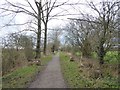 The Trailway near Fiddleford in DT10 1DF