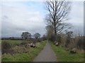 The Trailway, a foot and cycle path in DT10 1DF