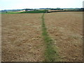 Looking along the footpath towards Fairfield farm, from Brockholes wood in FY6 8FW