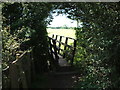 Bridge over the Dyke walking from Holts Lane in FY6 8FW