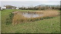 A small pond nestling amongst the vast sheds of this industrial estate in BS11 0QL