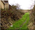 Track west from Clydach Street, Brynmawr in NP23 4RN