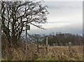 A stile and footpath above Blackleach in BB6 7HS