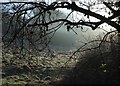 Frosty meadow, Padleigh Bottom in BA2 1PH