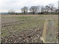 Field View at Keycol Farm Triangulation Pillar in ME9 7PX