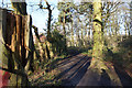 Acomb Wood, Woodthorpe, York in YO24 2XP
