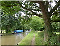 Towpath along the Coventry Canal in CV9 2PL