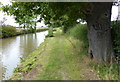 Towpath along the Coventry Canal in CV9 3DN