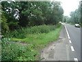 Overgrown public byway leaves the A10 south of Ely in CB6 3NN