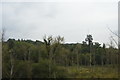 Woodland by the Great Western Railway in RG17 0SP