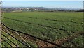 Farmland near Breach Wood in BA2 2QP