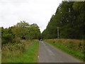 Road through Cairlyew Wood in DD8 5HU