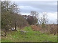 Footpath from Nipe Lane across Holland Moss in WN8 9NU