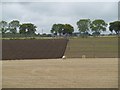 Ploughing, Auchindorie in DD8 5LW