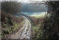 Byway approaching Middle Wood in BA2 9DY