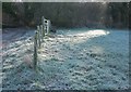 Frosty corner of field by Middle Wood in BA2 9DY