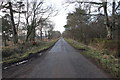 Long Straight Minor Road at Fortry Wood in AB55 6TP