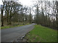 Road through Pollok Country Park in G52 1TW