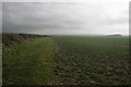 Bridleway, Thorncombe Farm in DT2 7RF