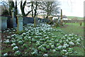 Leswalt Old Church Graveyard in DG9 0LL