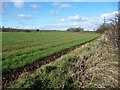 Corner of a field, Ruffy Hills in DL8 2NT