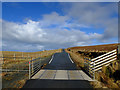 Cattle grid on the A855 in IV51 9WS