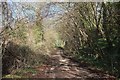 Track to Combe Hay Lane in BA2 2FX