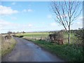 Bench alongside the road to Middleton Quernhow in Wath