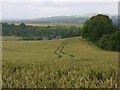 Farmland, Clarendon Park in SP1 1RR