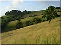 Laverstock Down in SP1 1QZ