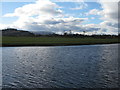The River Forth near Stirling in FK9 5LF
