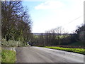 Road down to Coygan Quarry in SA33 4RR