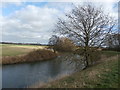 The River Idle at Misterton Soss in West Stockwith