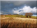 Farmland Viewed from Akeferry Road in DN9 2XE