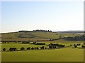Pastures below Beacon Hill in SP4 0EJ