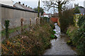 North Petherton : Small Stream in TA6 6NF