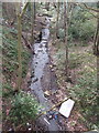 Stream in Elmers Green Wood, Tanhouse, Skelmersdale in WN8 6DR
