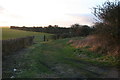Lane from Anderby Road past Cocking Pit in PE24 5RL