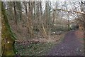 Path, Horsecombe Vale in BA2 5JT