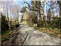 The road to Canonteign from the B3193 in EX6 7RH