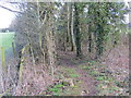 Path through trees beside field near South Wraxall in BA15 2SE
