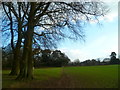 View over large field from clump to the drive to Roffey Park in RH12 4SA