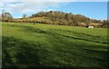 Hillside near Monkton Combe in BA2 7DB