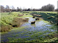 Marston Magna moat and fishponds in BA22 8DB