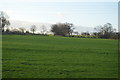 Field, Knotty Ash Farm in HG3 2SF